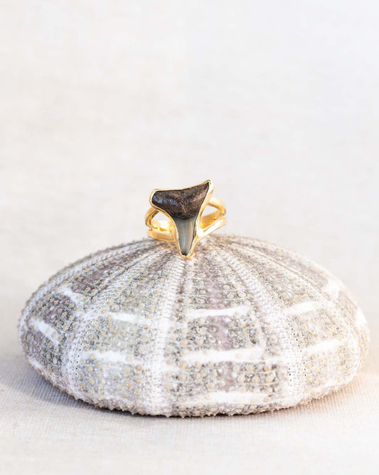 gold double wide band fas ring size 8.5