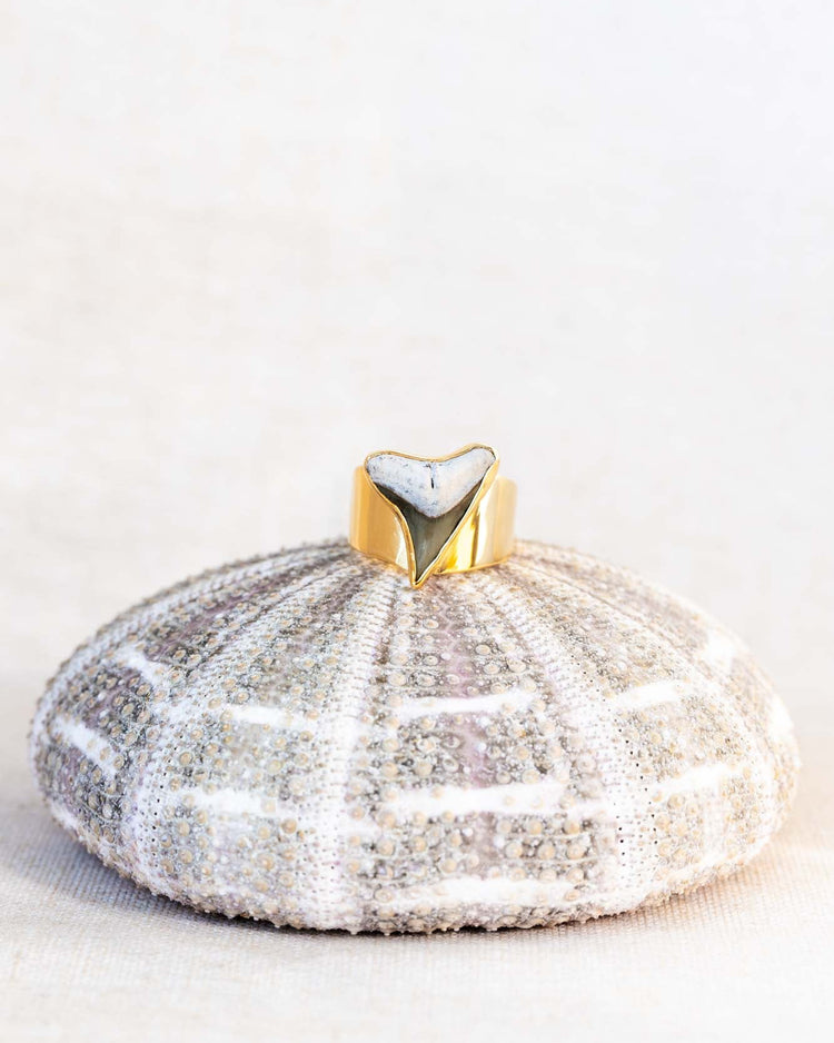 gold wide band found at sea fossil ring size 8