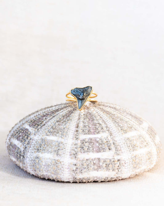 gold thin reef goddess ring size 7