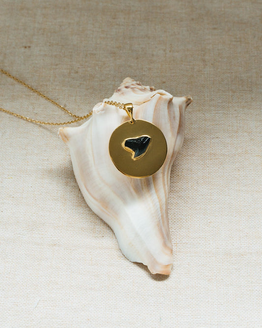 gold large found at sea coin necklace