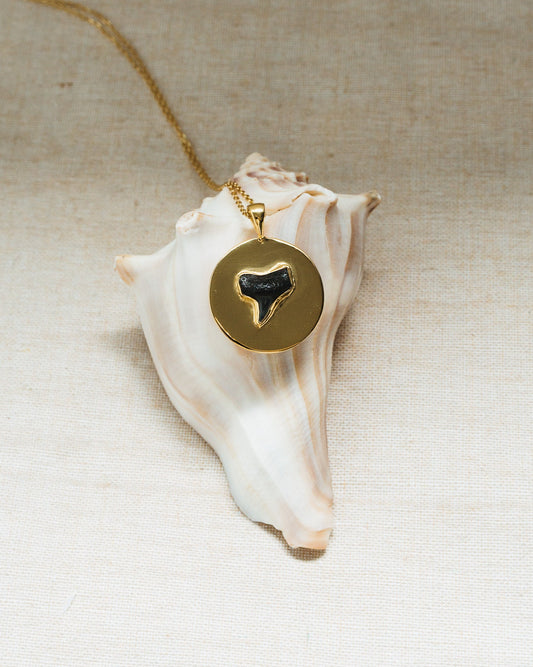 gold large found at sea coin necklace