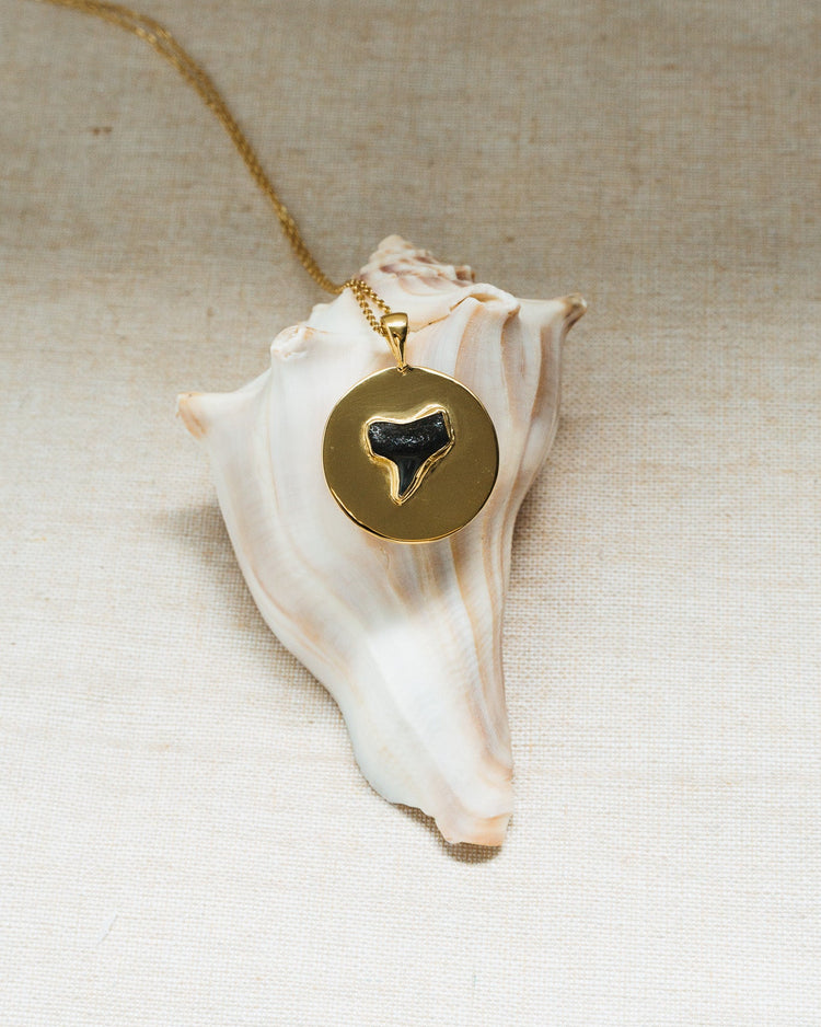 gold large found at sea coin necklace