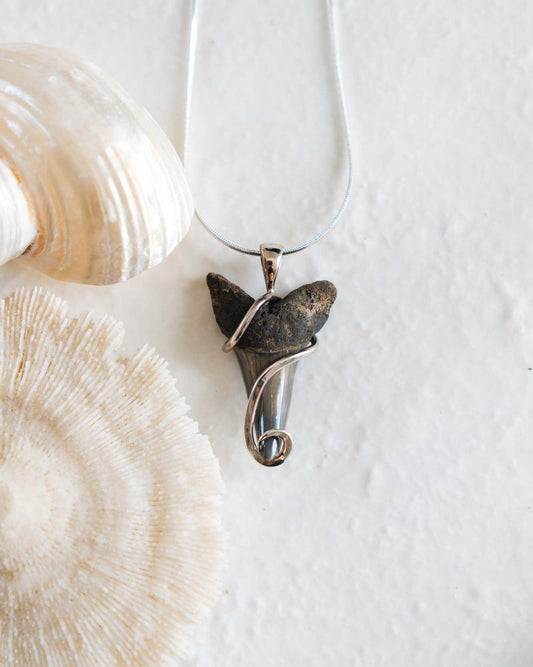 fossil swirl necklace