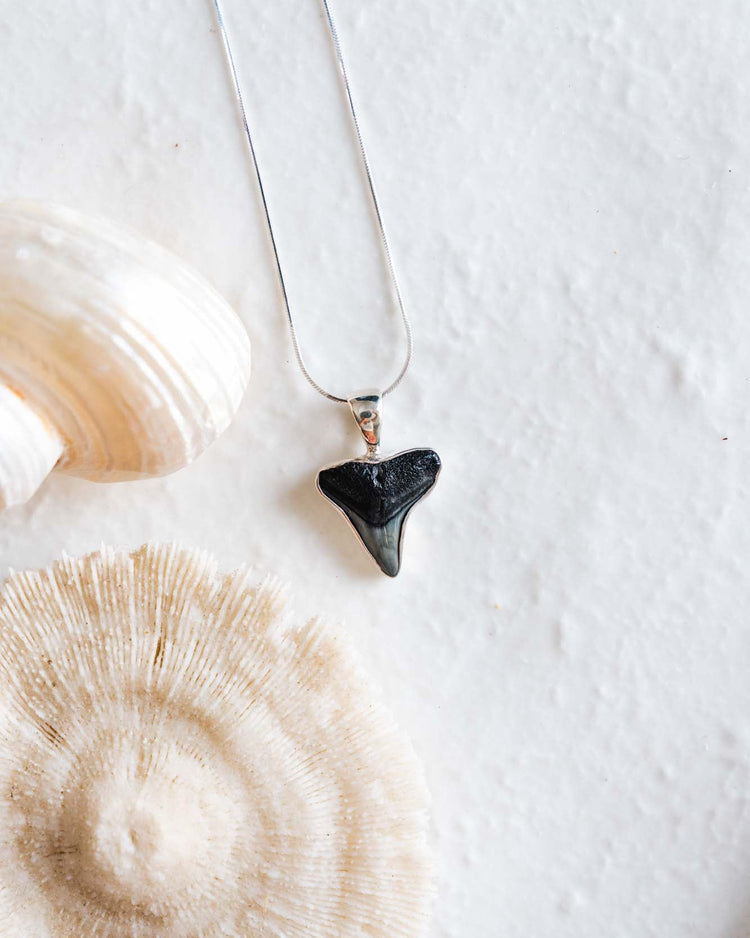 moana necklace