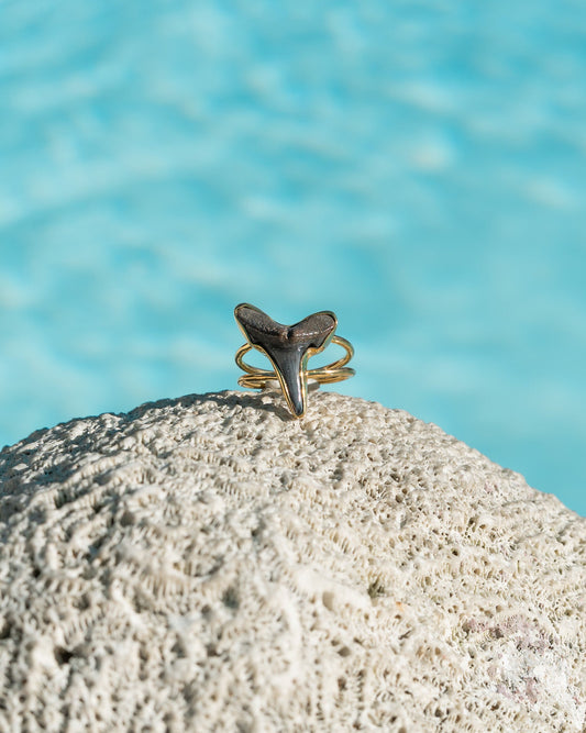 gold thin reef goddess ring size 6