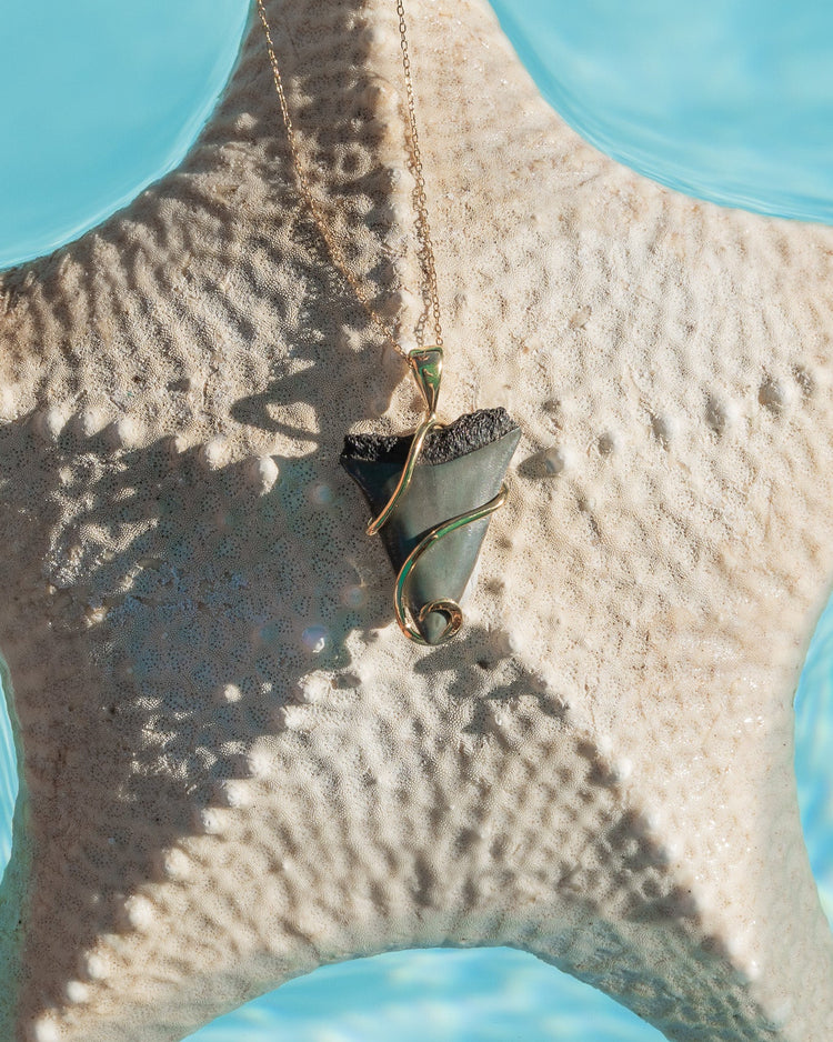 gold fossil swirl necklace