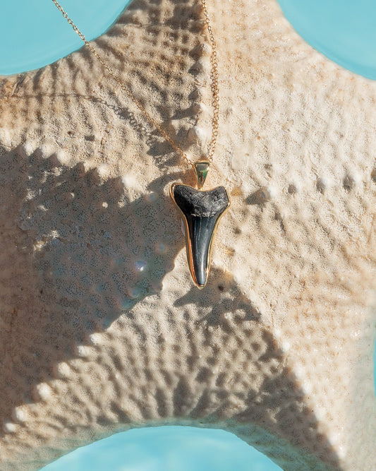 gold moana necklace