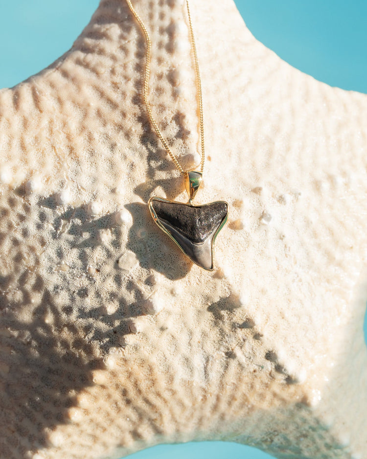 gold moana necklace