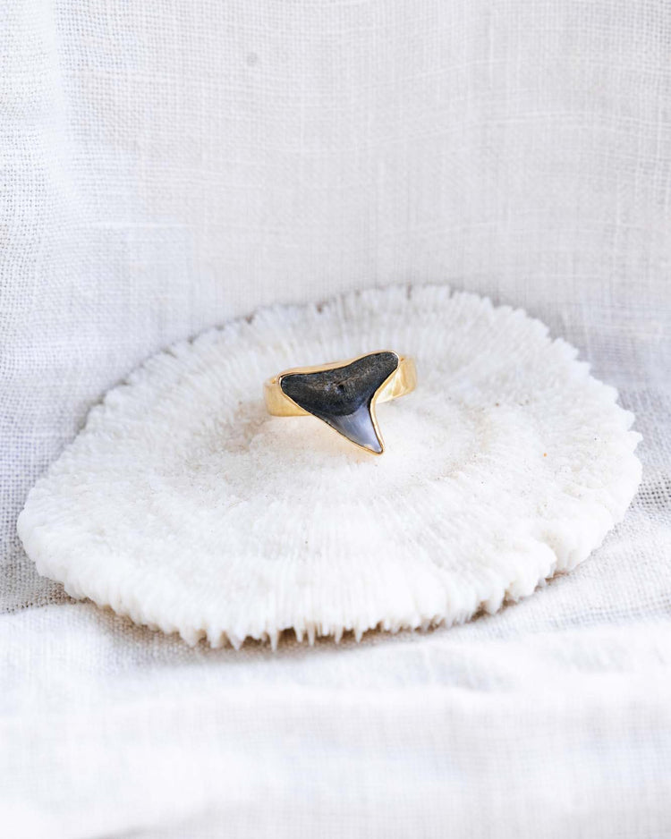 gold found at sea fossil ring size 6