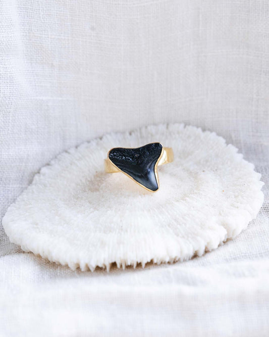 gold found at sea fossil ring size 8