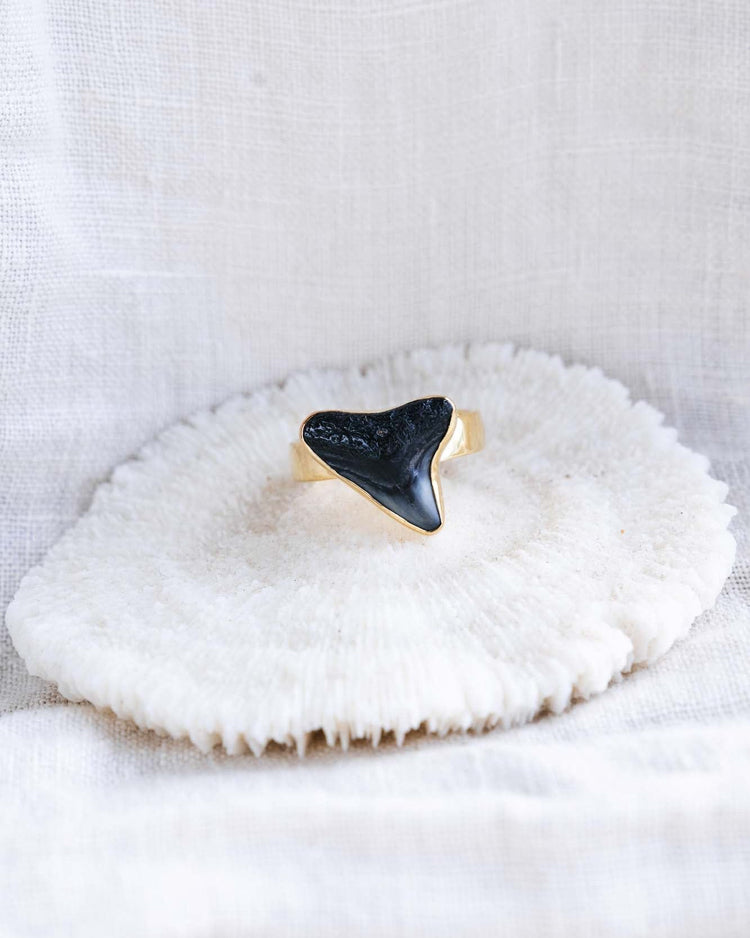 gold found at sea fossil ring size 8