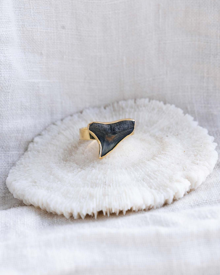 gold found at sea fossil ring size 7