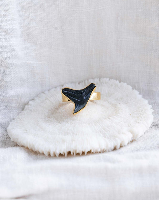 gold found at sea fossil ring size 8
