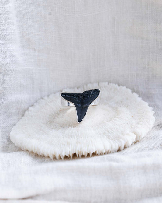 found at sea fossil ring size 8