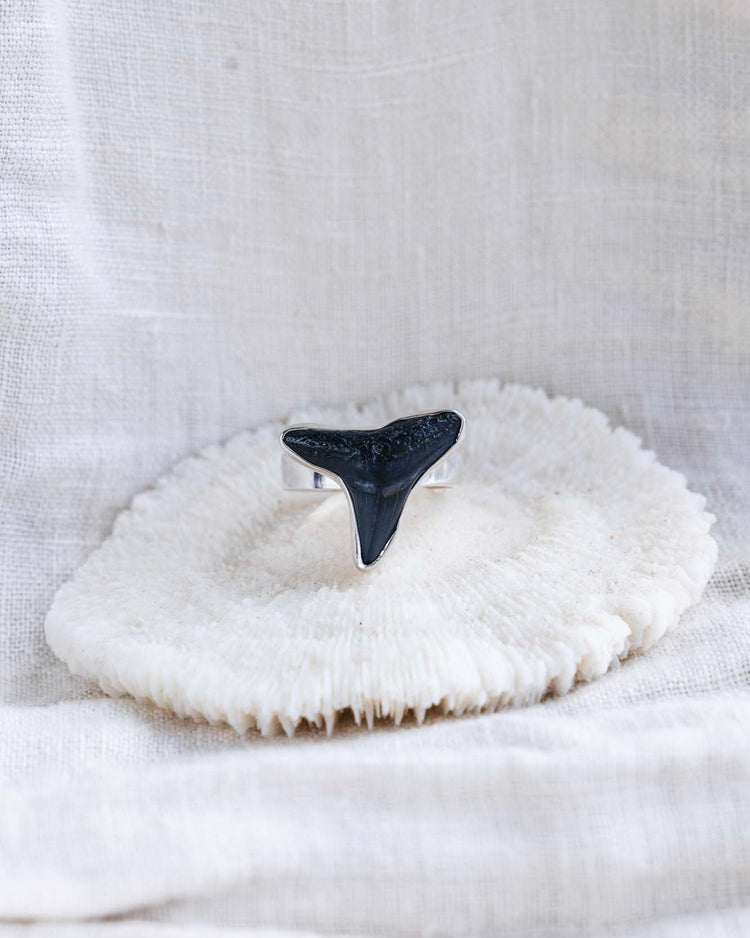 found at sea fossil ring size 8