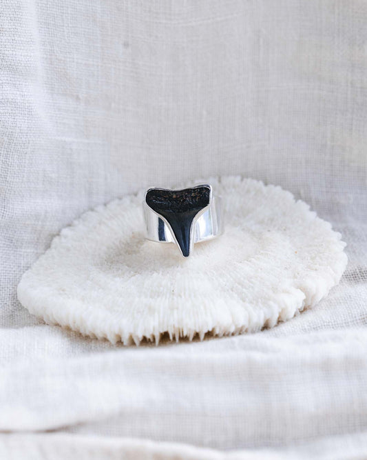 wide band found at sea fossil ring size 6