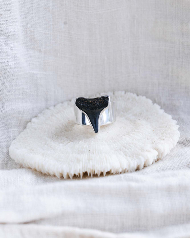 wide band found at sea fossil ring size 6