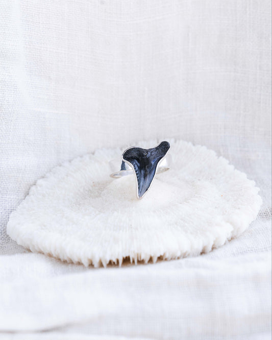 found at sea fossil ring size 6