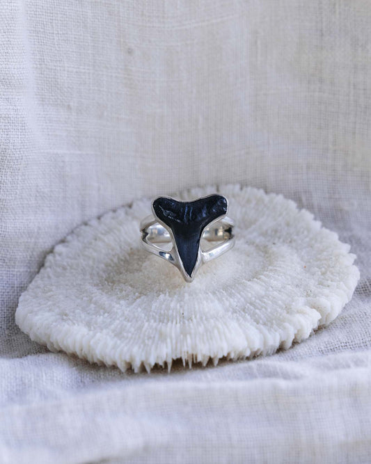 double wide band found at sea fossil ring size 7