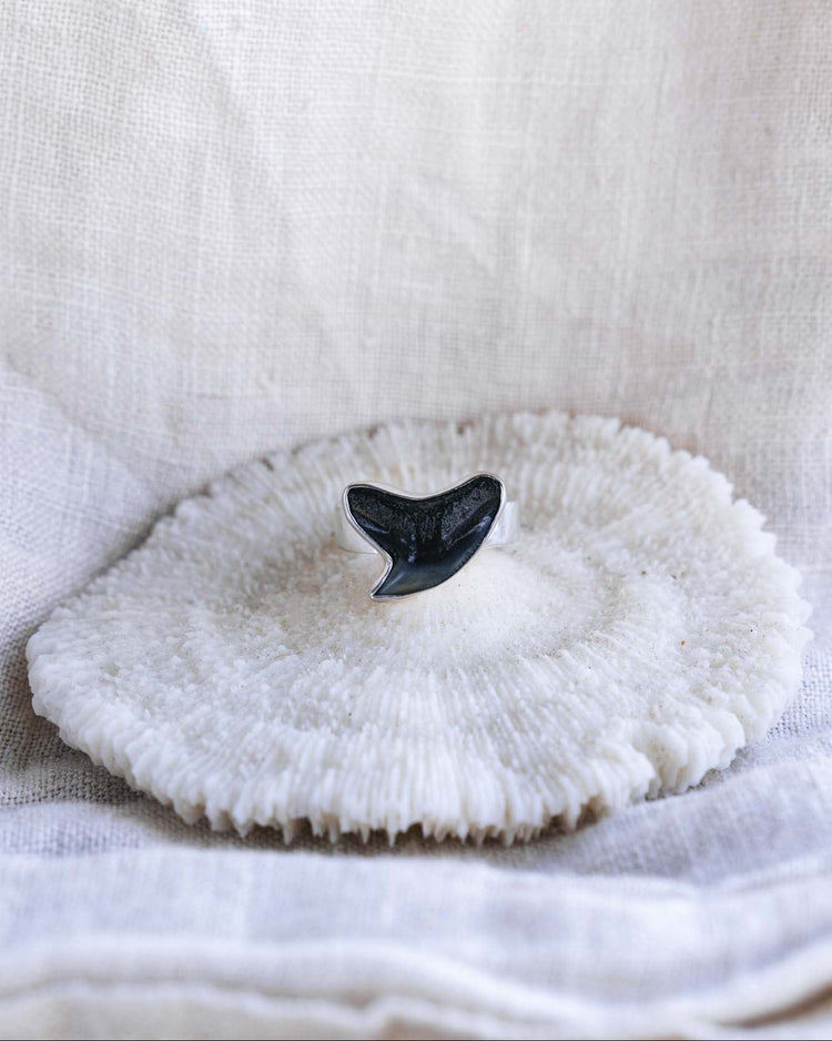 found at sea fossil ring size 5