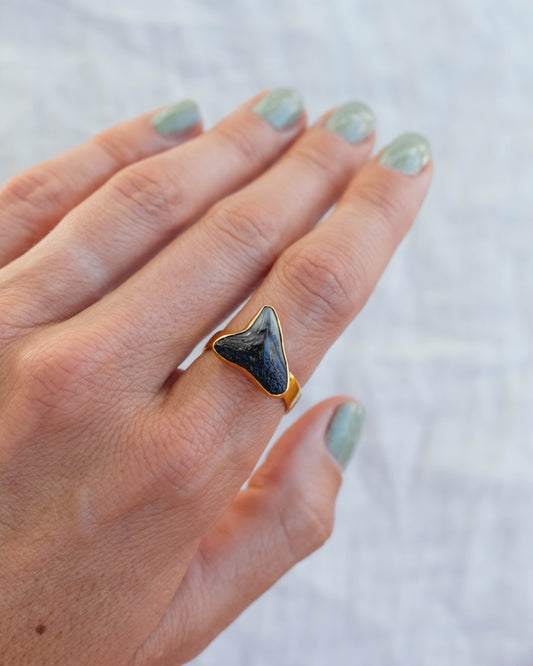gold found at sea fossil ring size 8