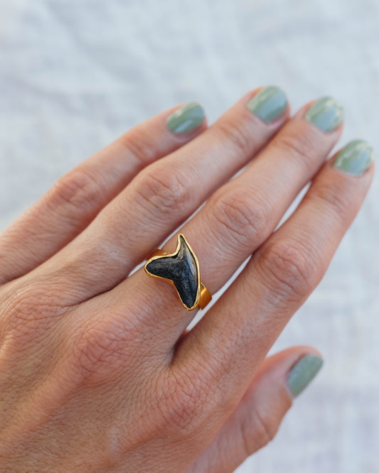 gold found at sea fossil ring size 7