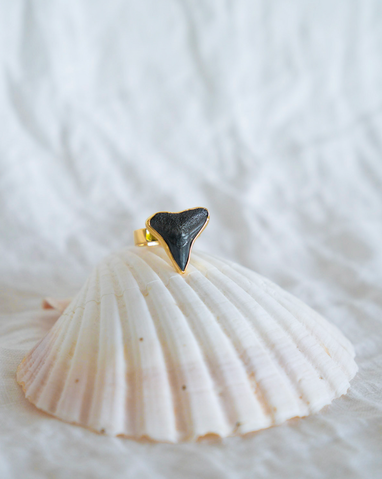 Gold Found At Sea Ring size 7