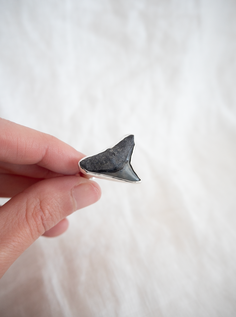 Found At Sea Fossil Ring size 10