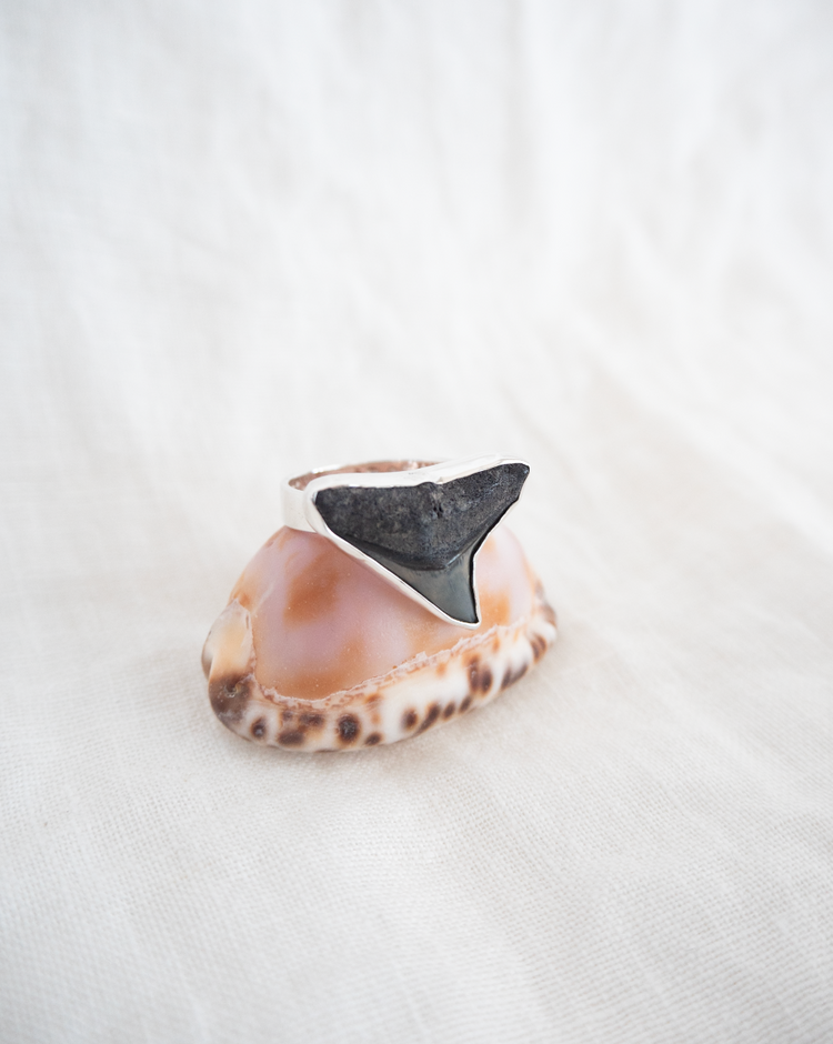 Found At Sea Fossil Ring size 10