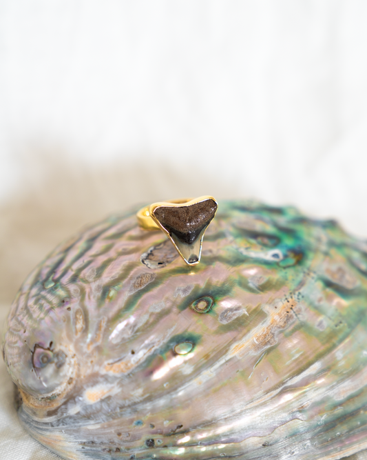 Gold Found At Sea Ring size 7