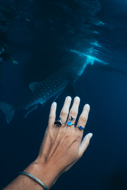 double wide band found at sea fossil ring size 7